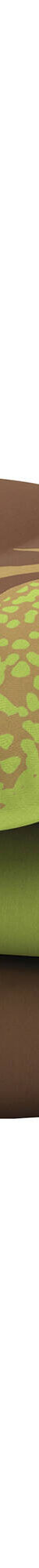 Couette microfibre imprimée Jungle 200g/m2 (vert / chocolat) Couette microfibre imprimée Jungle 200g/m2 (vert / chocolat)